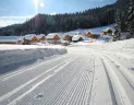 (© Hagan Lodge Alpen Parks - Salzkammergut Touristik) - Lyžovačky v Alpách, Formula F1, Dovolenka na lodi a plavby, www.hitka.sk