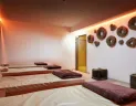 (© Hotel DAS ALPENHAUS) Lyžovačky v Alpách, Dovolenka na lodi a plavby, Formula F1, www.hitka.sk