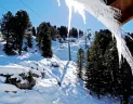Cavalese - Val di Fiemme (© T.B.O Travel) - Lyžovačky v Alpách, www.hitka.sk