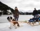 Psie záprahy © VERBIER St-Bernard, Darin Vanselow - Lyžovačky v Alpách, www.hitka.sk