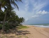 (© Ladja Beach resort) - Exotika, more, relax, adventure, Sri Lanka, www.hitka.sk 