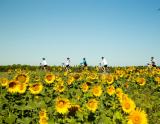 Provence (© Cyclomundo) Dovolenka na lodi a plavby, Lyžovačky v Alpách, Formula F1, www.hitka.sk