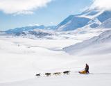 Lyžiarska oblasť Val Cenis - psie záprahy (© Husky Adventure) Dovolenka na lodi a plavby, Lyžovačky v Alpách, Formula F1, www.hitka.sk