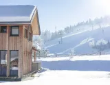Kreischberg Chalets (© Alps-Resort) Lyžovačky v Alpách, Dovolenka na lodi a plavby, Formula F1, www.hitka.sk