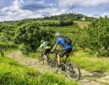 Cyklistika a víno v Slovinsku z Novej Gorice do Krasu - cyklocesta cez krajinu
