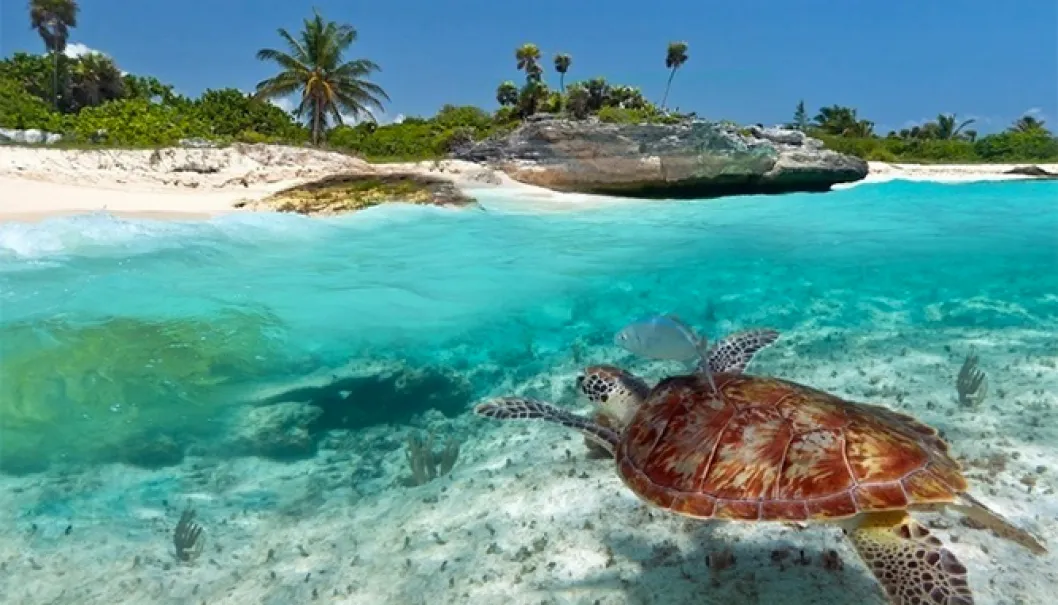 Zanzibar (© Kartago Tour) - Lyžovačky v Alpách, www.hitka.sk