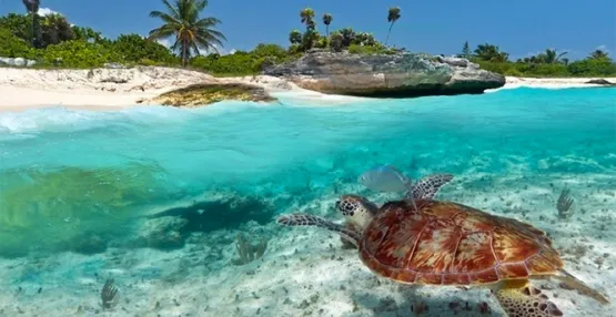 Zanzibar (© Kartago Tour) - Lyžovačky v Alpách, www.hitka.sk