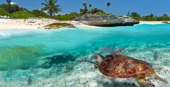 Zanzibar (© Kartago Tour) - Lyžovačky v Alpách, www.hitka.sk